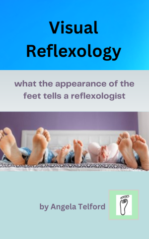 Visual Reflexology eBook & Workshops . Angela's ebook: Visual Reflexology 