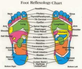 What is Reflexology?. foot chart